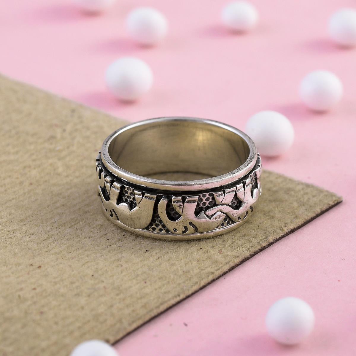 Elephant Spin Band Sterling Silver Fidget Ring Meditation Jewelry